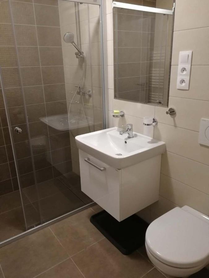 Apartman Praded V Rickach - Ricky V Orlickych Horach المظهر الخارجي الصورة