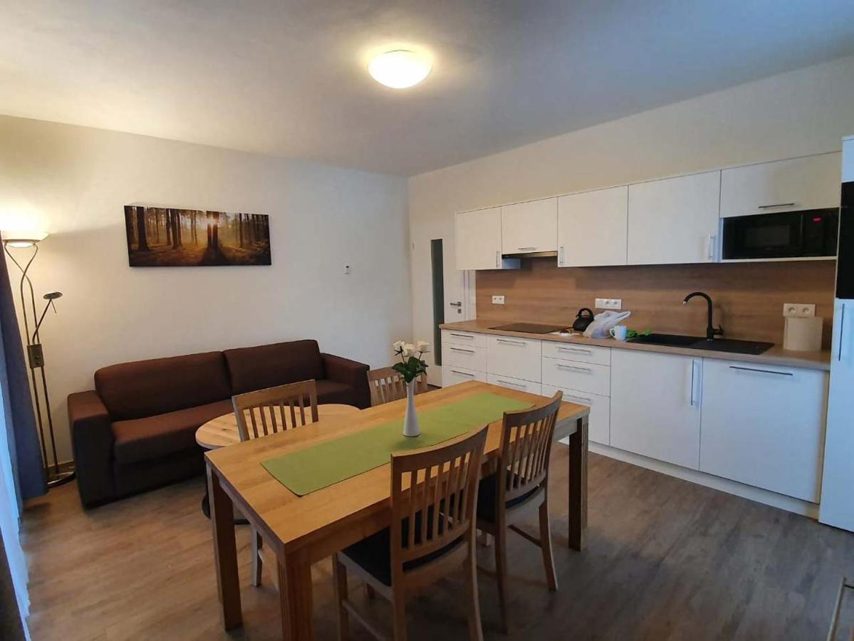 Apartman Praded V Rickach - Ricky V Orlickych Horach المظهر الخارجي الصورة